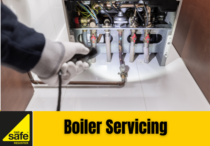 boiler service West Malling